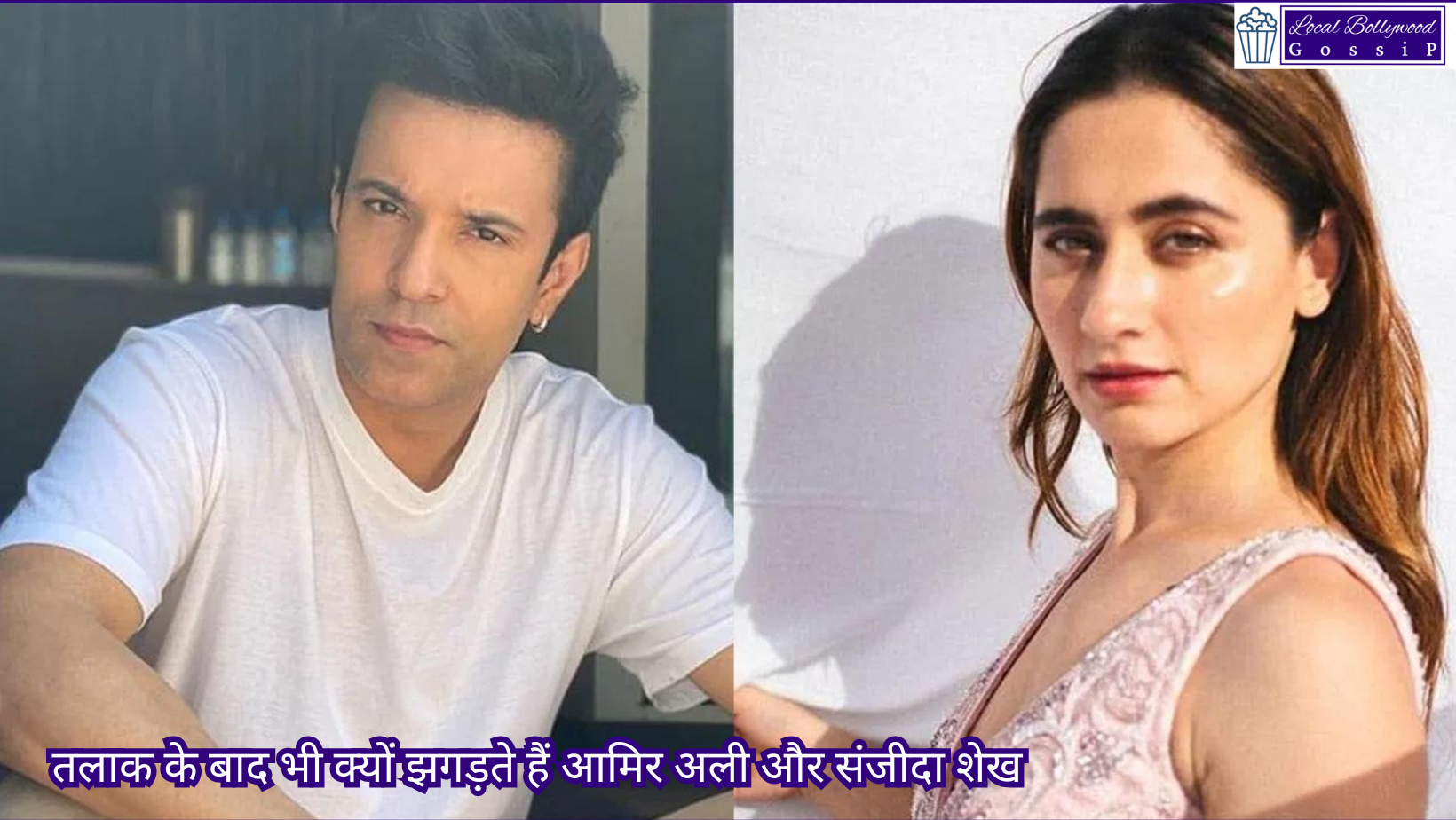 तलाक के बाद भी क्यों झगड़ते हैं आमिर अली और संजीदा शेख | Why do Aamir Ali and Sanjeeda Sheikh fight even after divorce